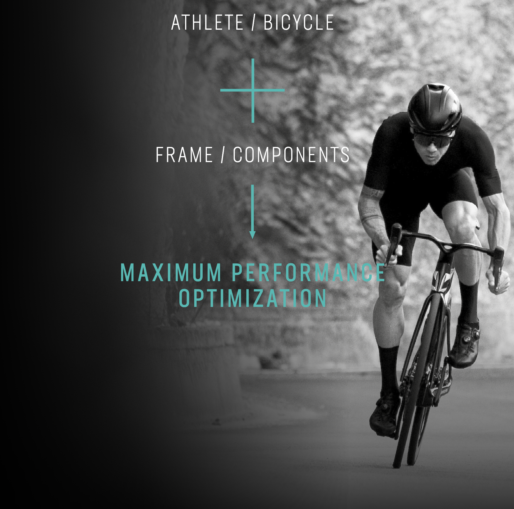 Oltre Pro Frameset (fork,headset,seatpost only)